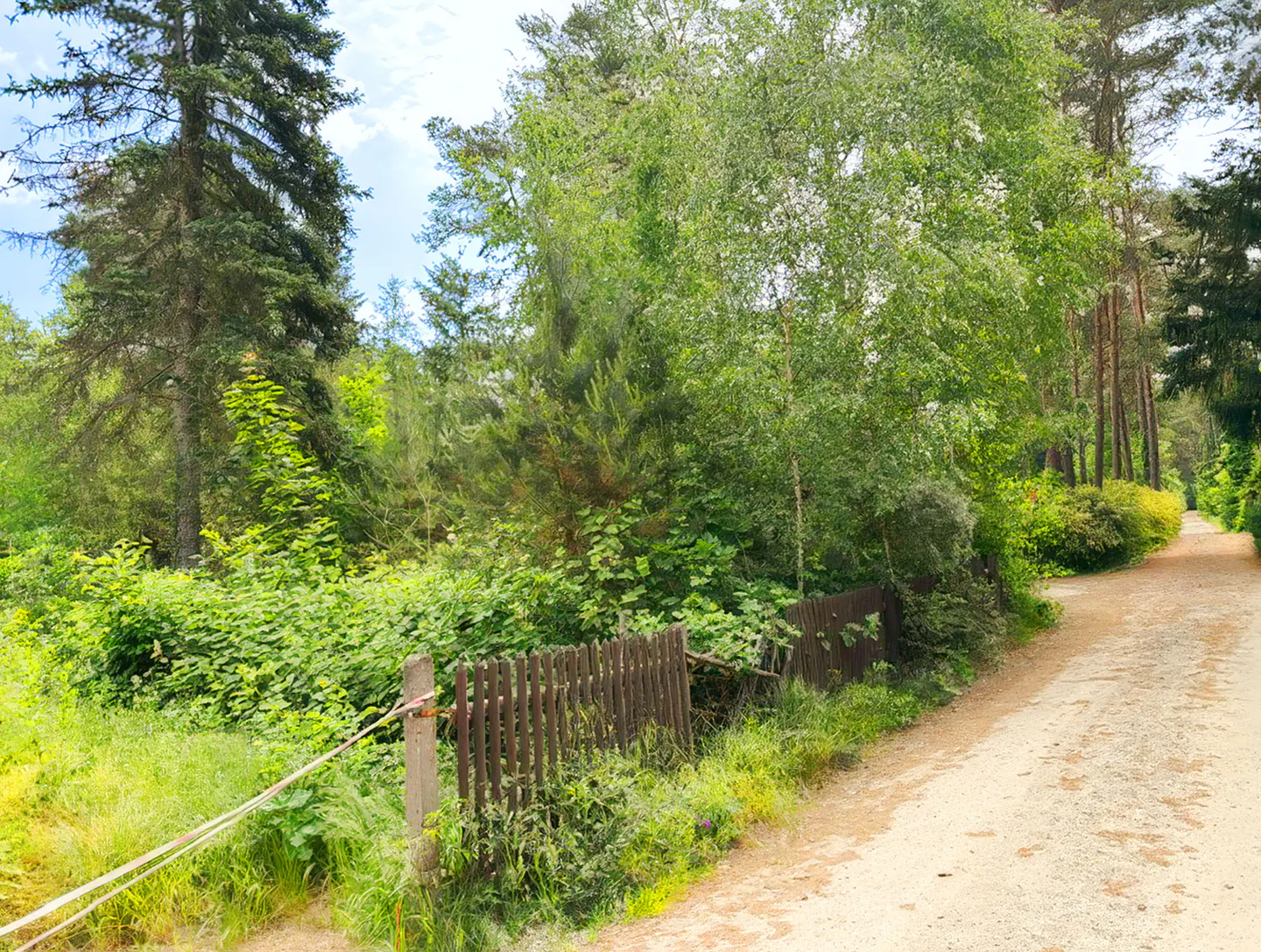 A dirt path runs alongside a wooden fence bordering a lush, green forest with tall trees and dense foliage.