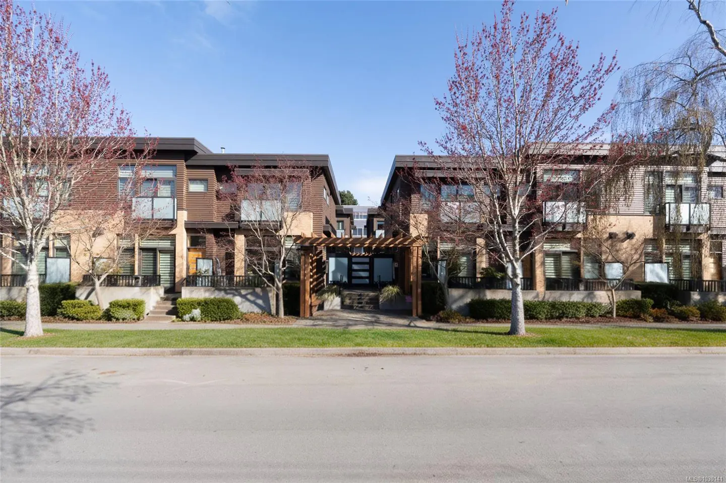 Street view of modern brown townhouses with a wooden pergola entrance and trees with red buds under a blue sky.