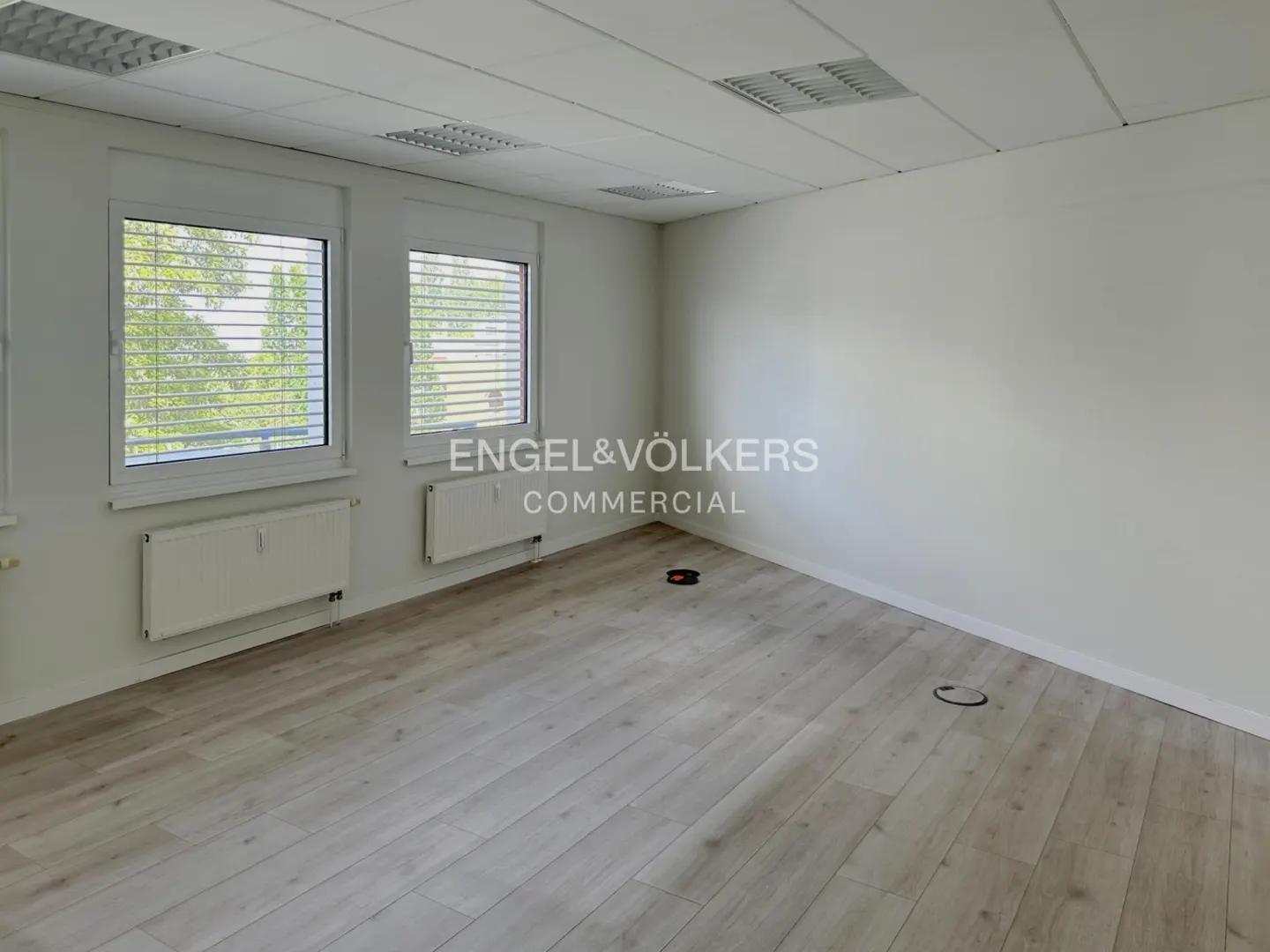 Empty office with light wood floors, white walls, two windows with blinds, and white radiators under a drop ceiling.
