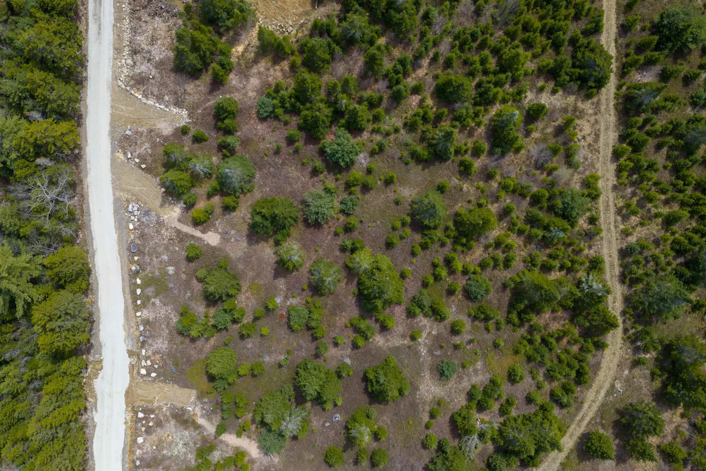 Aerial view of land with a dirt road on the left and a dirt path on the right, surrounded by green trees and brown vegetation.