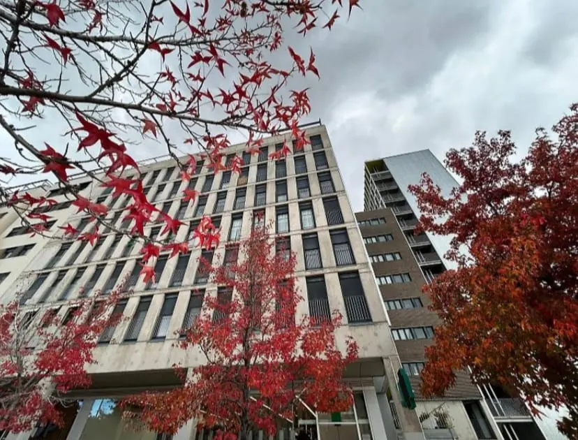Low-angle view of a modern apartment building framed by vibrant red autumn leaves against a cloudy sky.