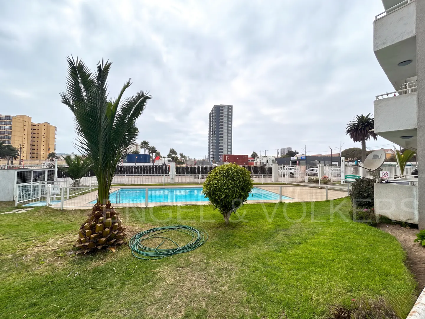 A grassy yard with a palm tree and a swimming pool, set against a backdrop of city buildings under a cloudy sky.