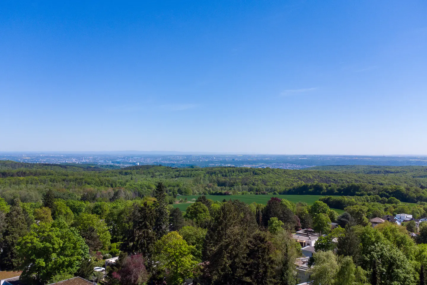 Scenic view of a lush green forest under a clear blue sky, with a distant cityscape visible on the horizon.