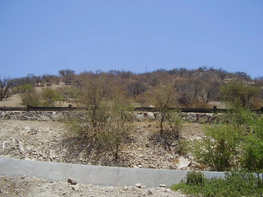 Hilly landscape with sparse trees under a clear blue sky. Stone and concrete retaining walls are visible.