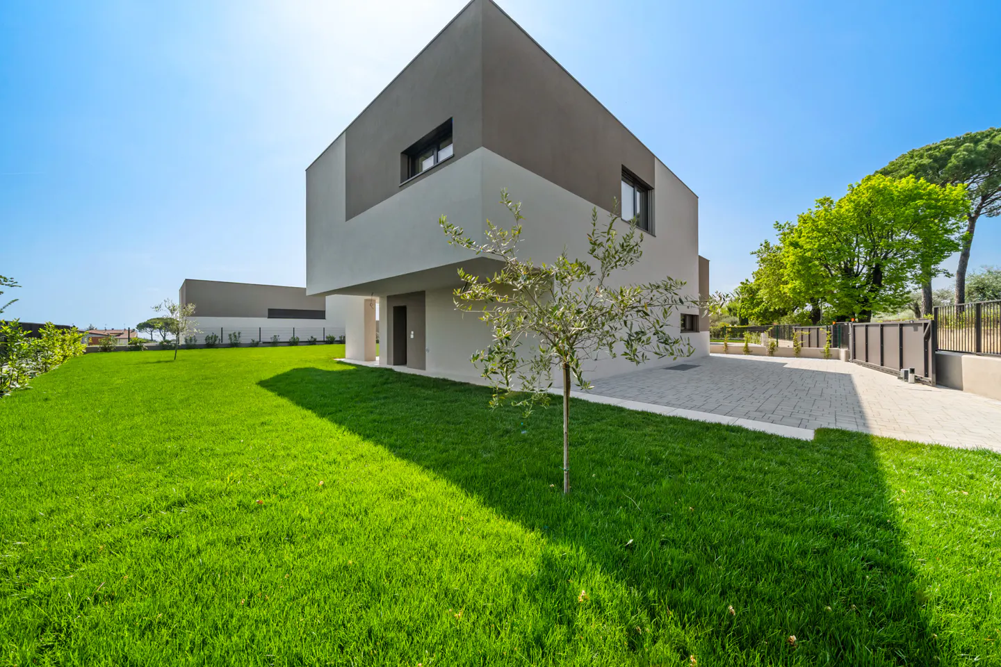 Modern two-story home with gray and white exterior, green lawn, and young tree in the front yard on a sunny day.