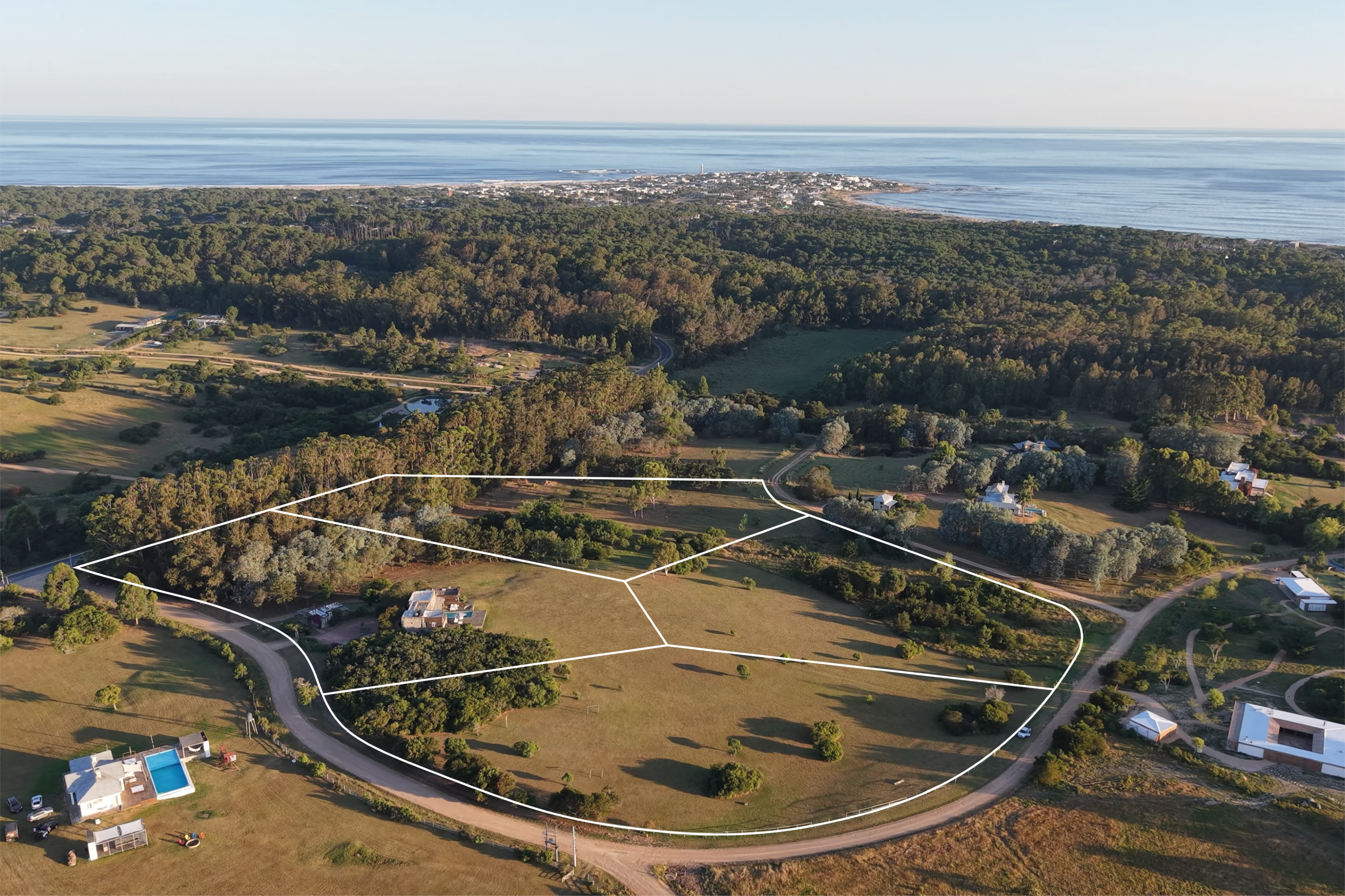 Aerial view of a large, grassy coastal property divided into four plots by white lines, near a forest and the ocean.