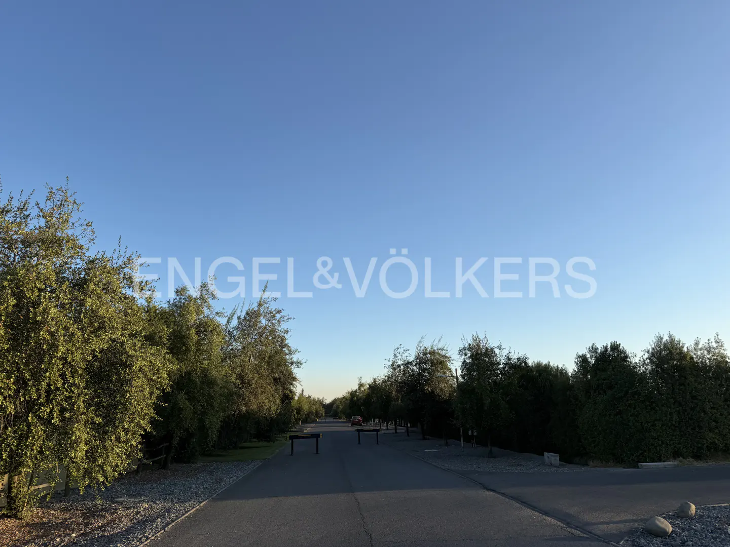 Engel & Völkers property entrance. A paved road leads to trees under a blue sky. Benches line the road.