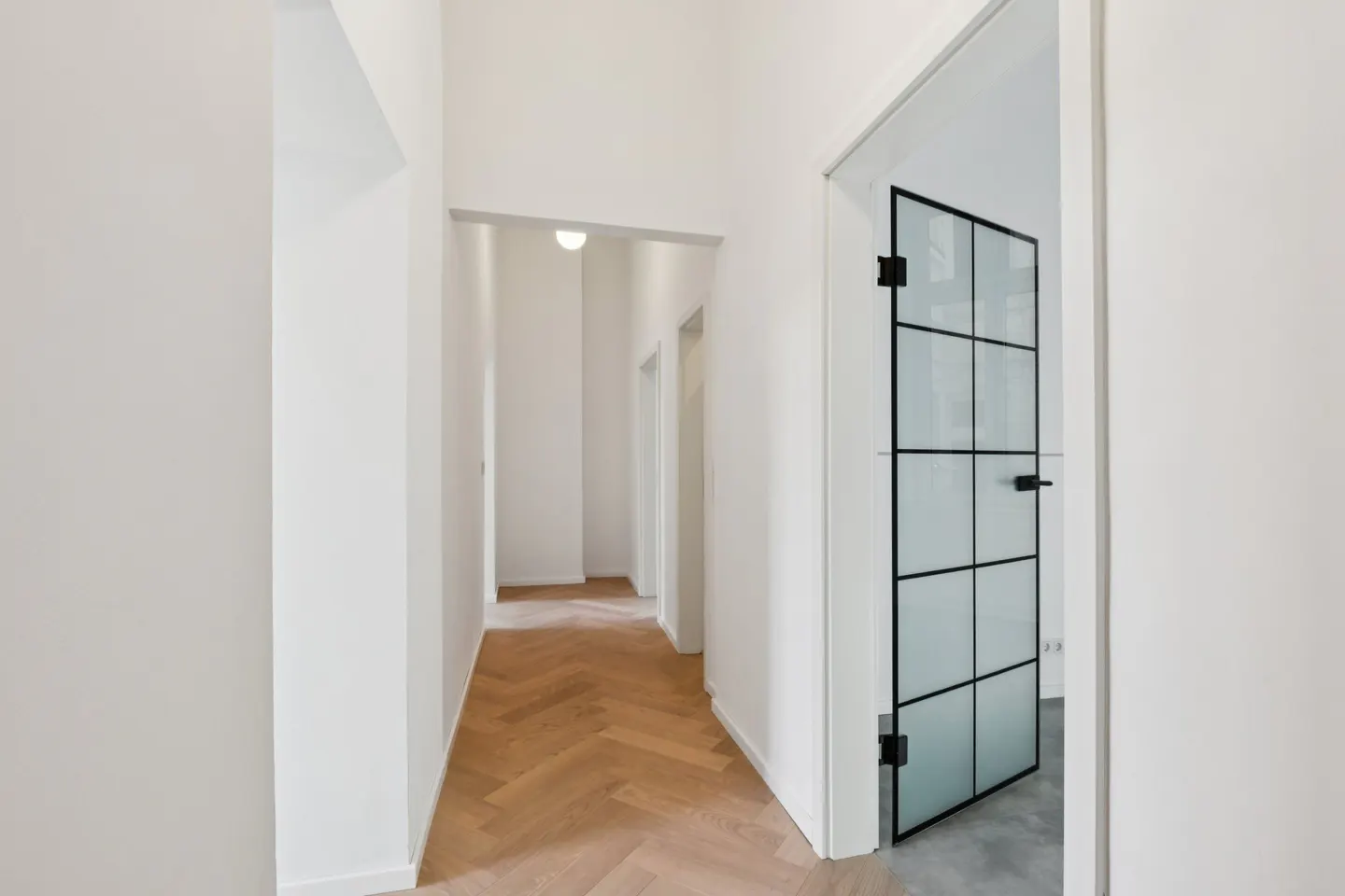 A bright hallway with white walls, a herringbone wood floor, and a black-framed glass door.