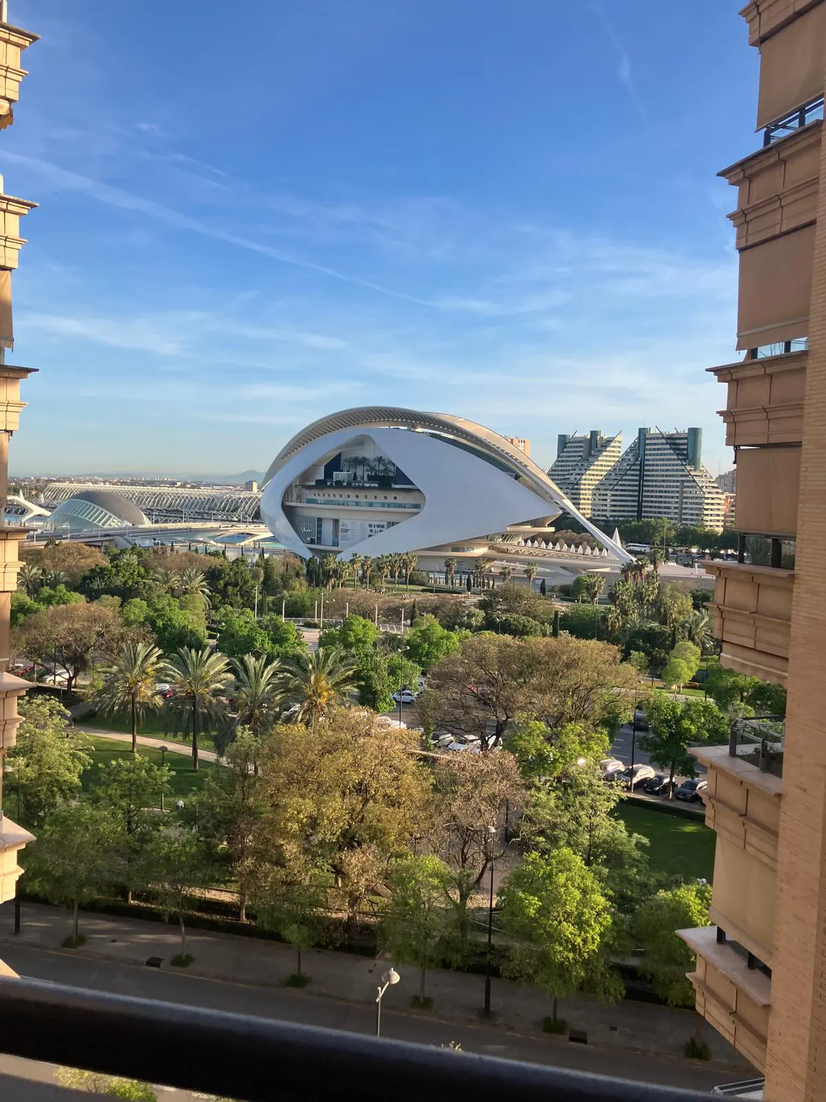 View from a balcony of the City of Arts and Sciences in Valencia, Spain, with green trees and blue sky.