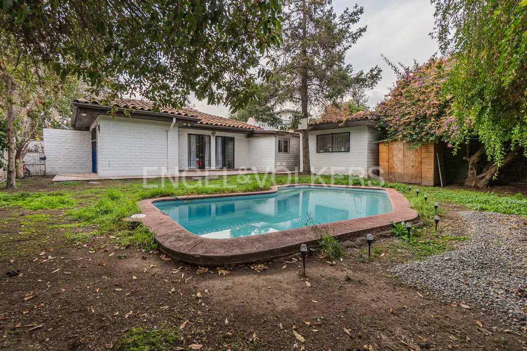 Backyard of a white house with a swimming pool, surrounded by trees, grass, and a gravel path.