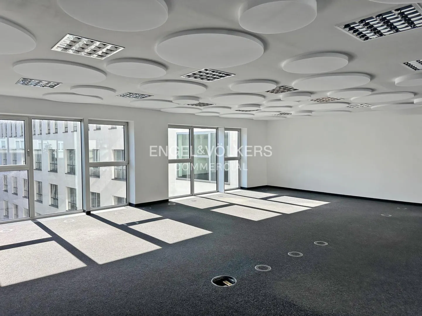 Empty office space with black carpet, white walls, and large windows. The ceiling has round, white acoustic panels and square light fixtures.