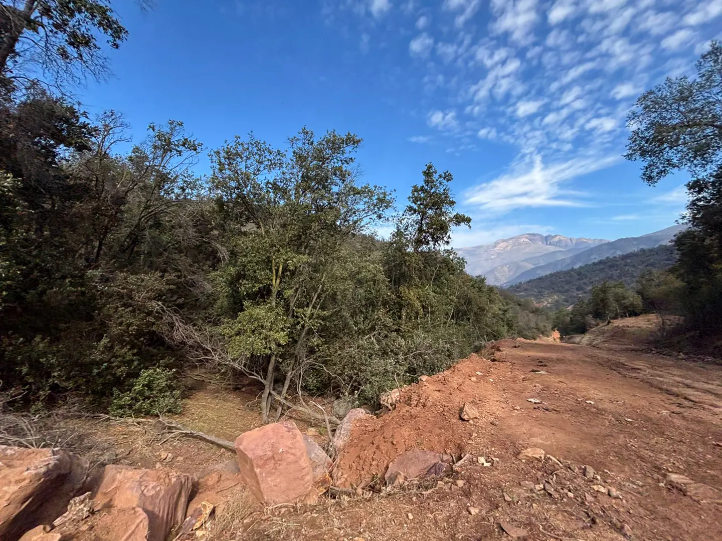 A dirt road winds through trees, leading to distant mountains under a blue sky with scattered clouds.