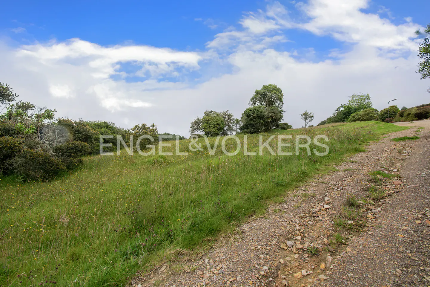 Gravel path leads through a grassy field with trees under a blue, cloudy sky. "ENGEL & VOLKERS" is superimposed on the landscape.