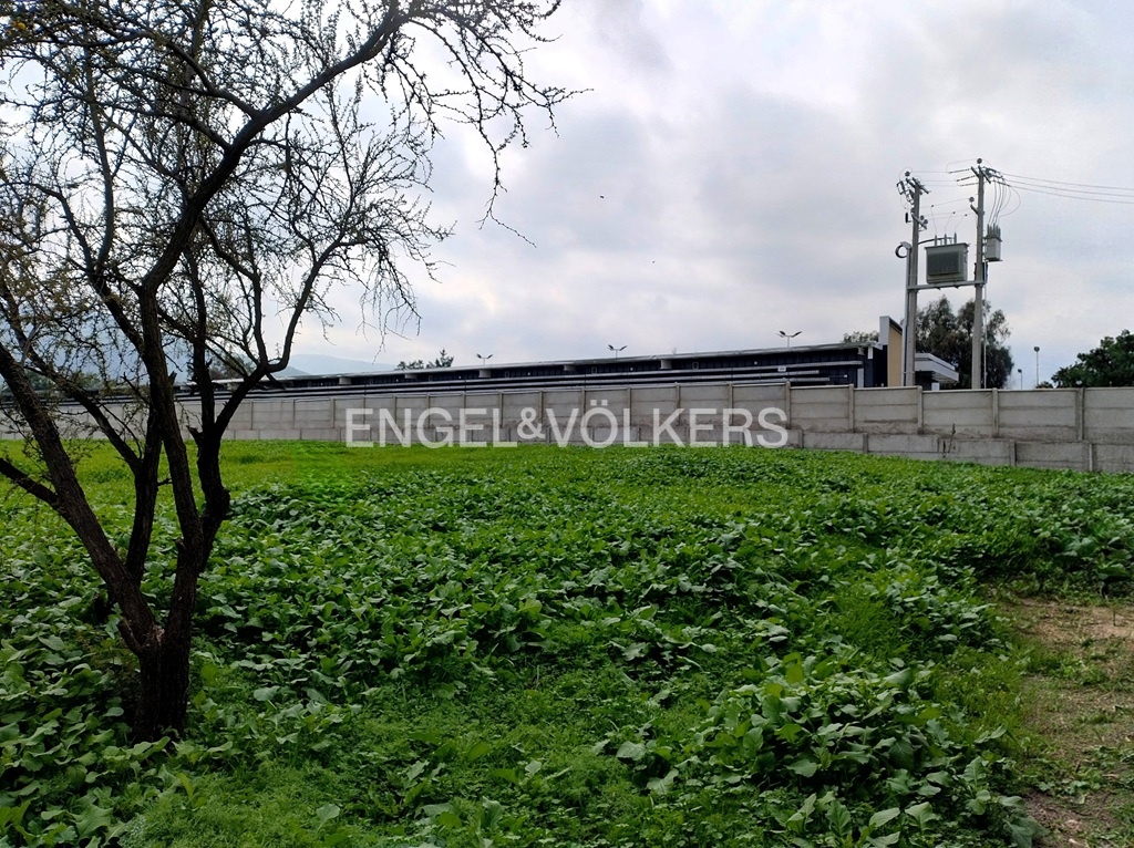 Arriendo zona comercial de Piedra Roja, Chicureo