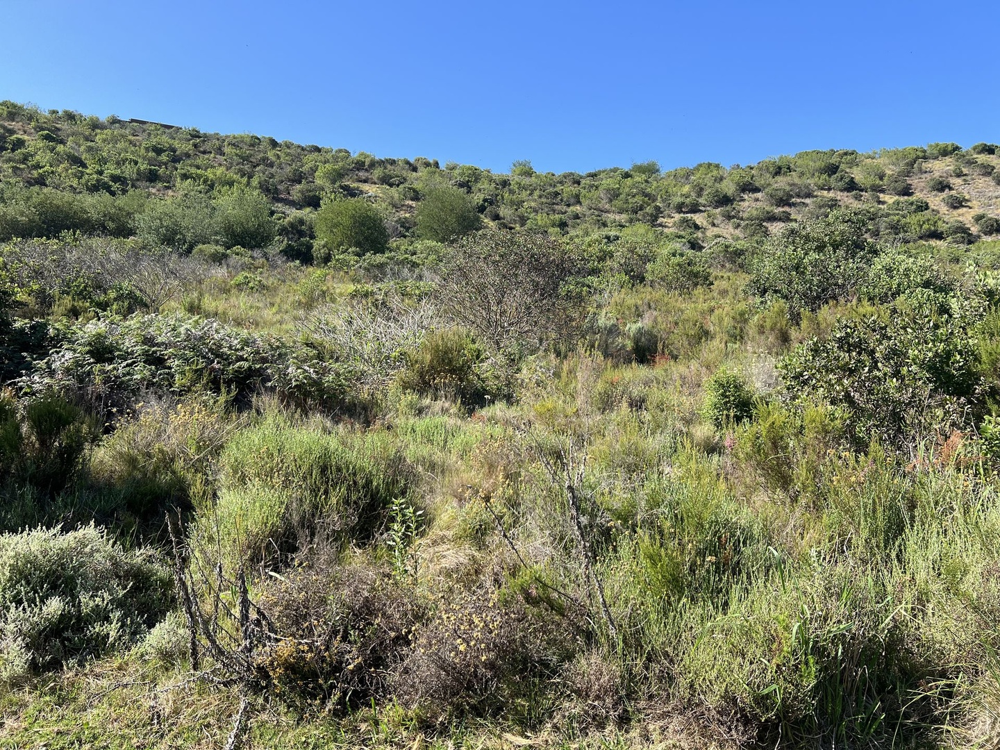 E60 Pezula Private Estate