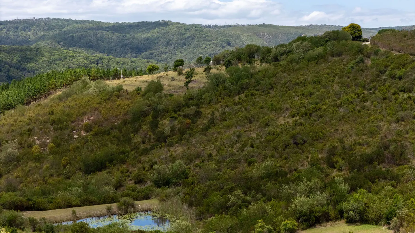 Pezula Private Estate