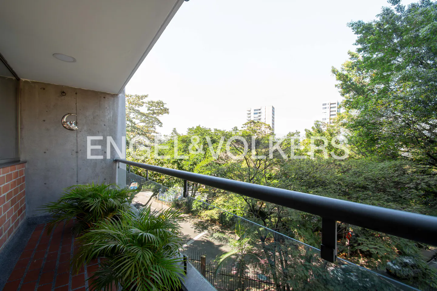 Balcony view with green plants, black railing, and glass panels overlooking lush trees and buildings in the distance.