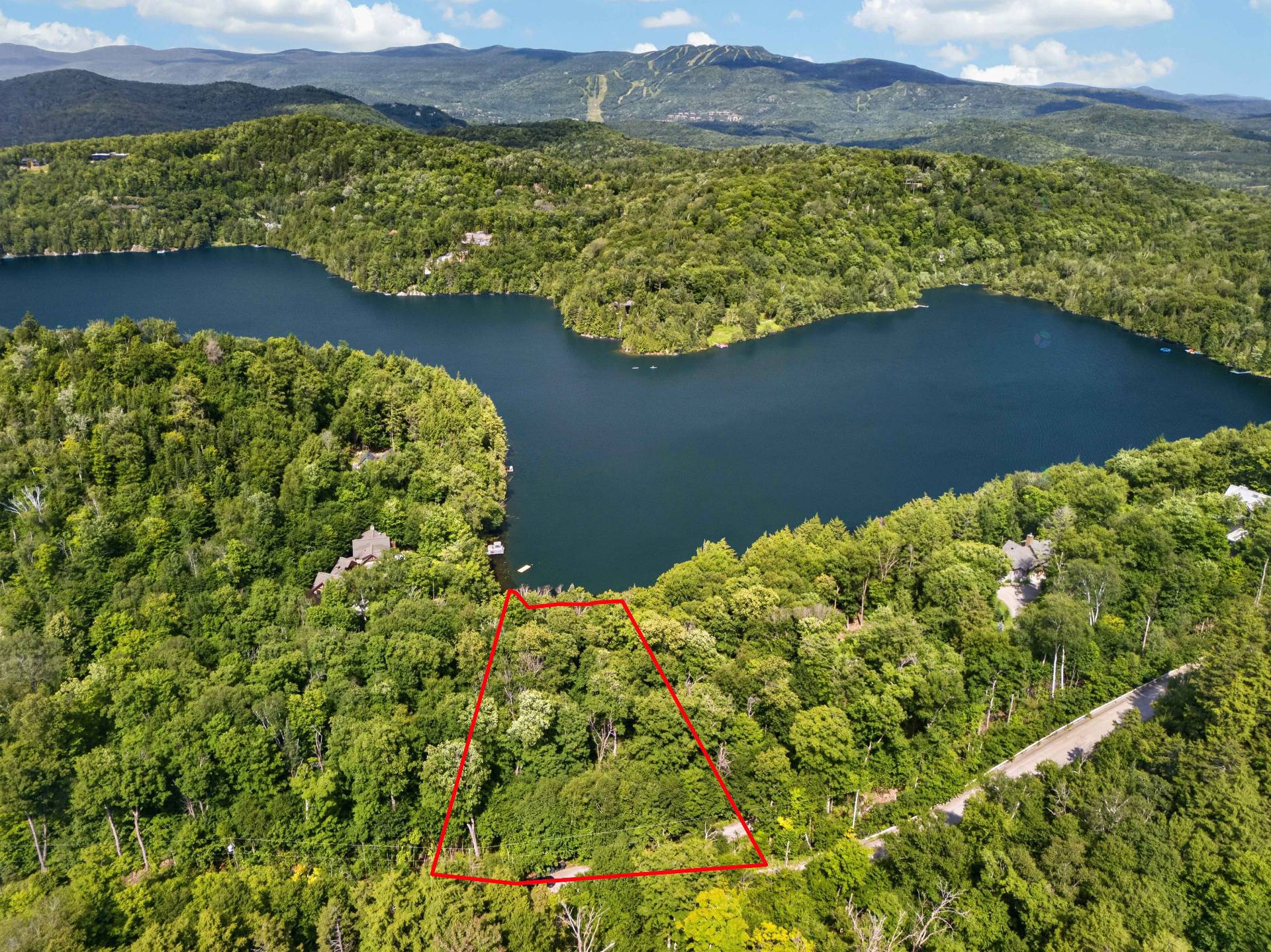Absolute rarity on the shores of Lac Desmarais!