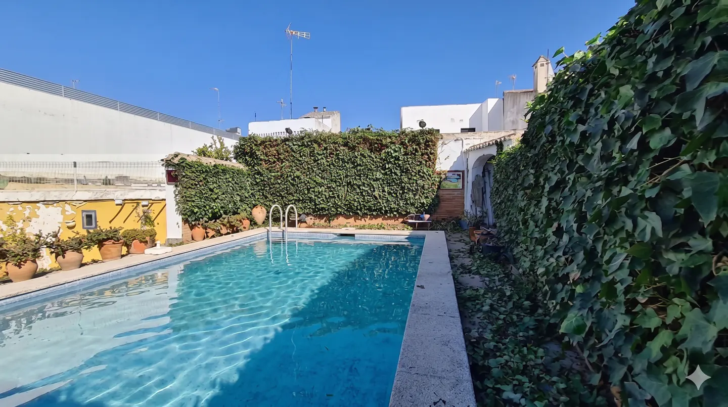 A rectangular swimming pool with blue water, surrounded by green ivy-covered walls and potted plants, under a clear blue sky.