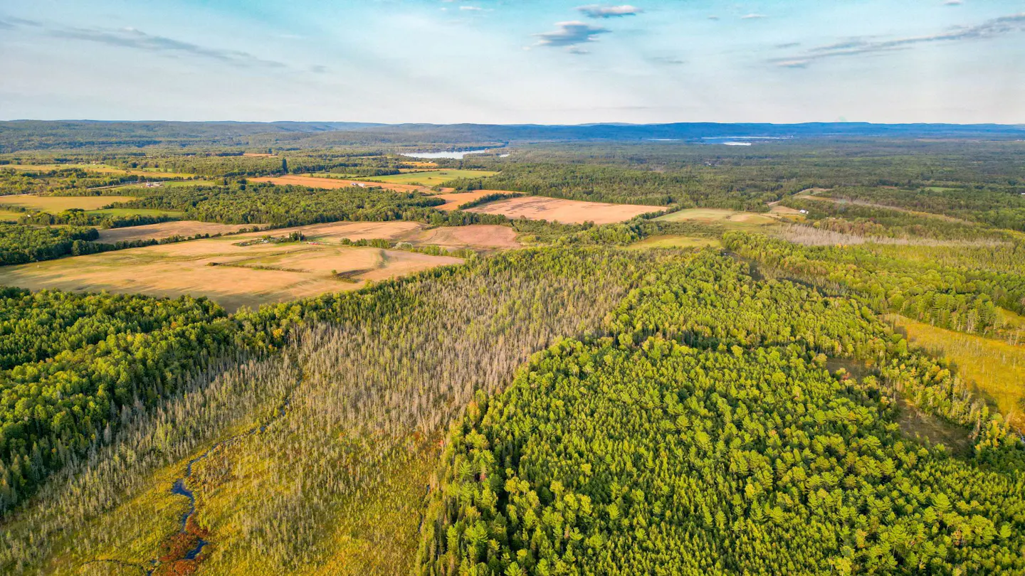 Aerial view of a landscape with green forests, golden fields, and a blue sky with light clouds.