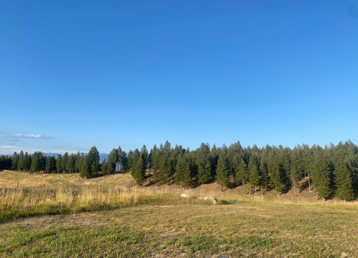 3 Acres With Well, Septic, And Power