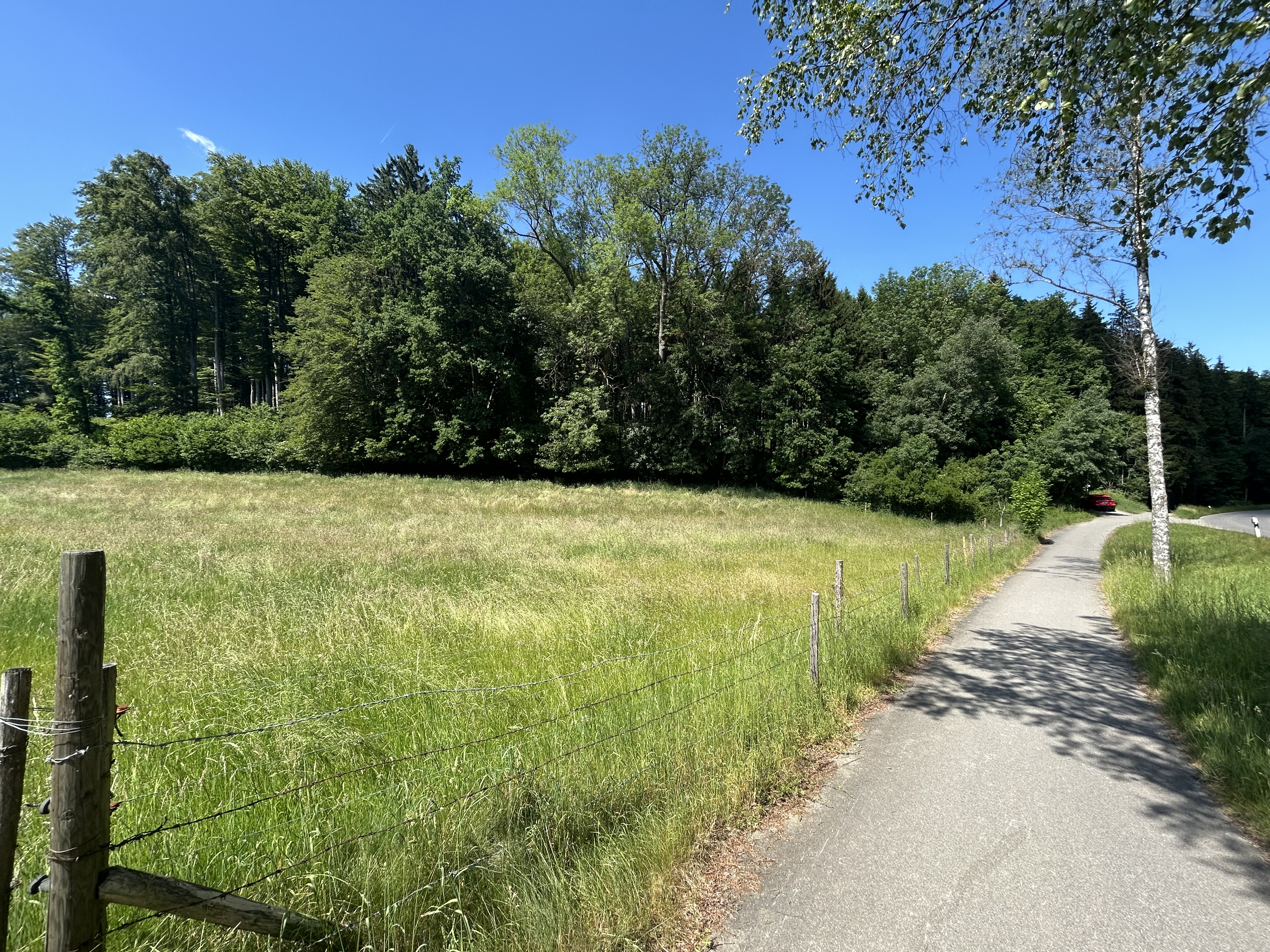 Landwirtschaftliche Grundstücke in Warthausen, Birkenhard