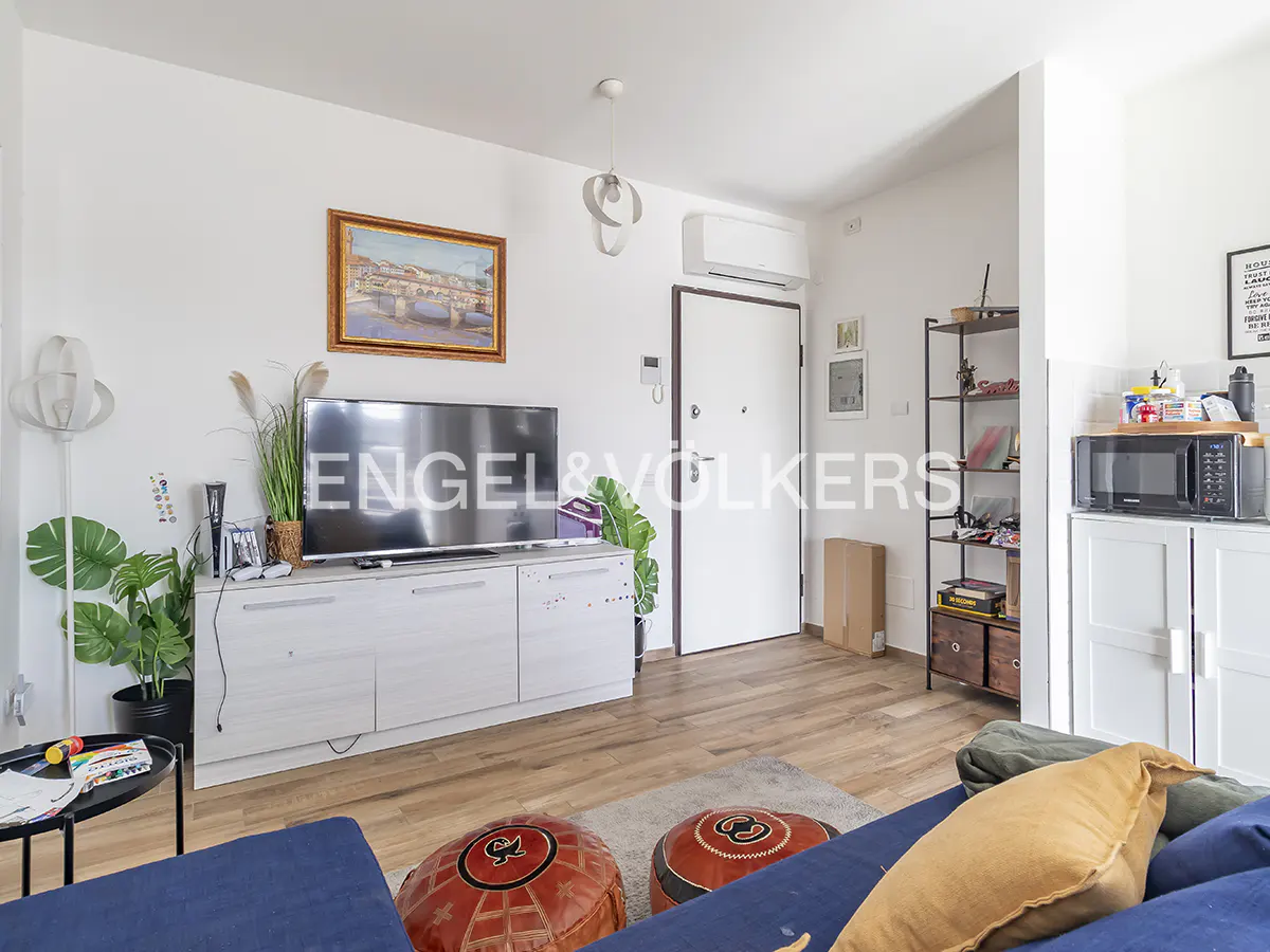 Bright living room with white walls, wood floors, and blue sofa. TV on a white console, art on the wall, and plants add color.