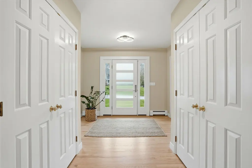 Foyer view with open white closet doors, light wood floor, and a white front door with glass panels. A potted plant sits near the door on a gray rug.