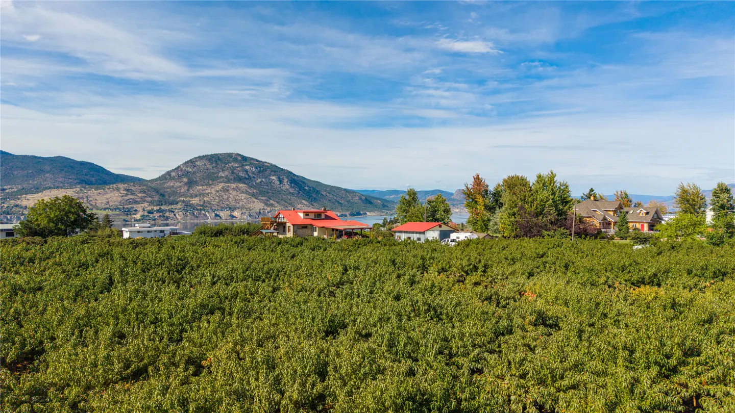 Landscape view of a lush green orchard with houses, mountains, and a blue sky in the background.