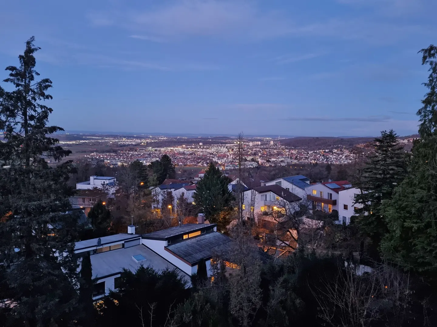 Night view of a city from a hill, with houses in the foreground and city lights in the background.