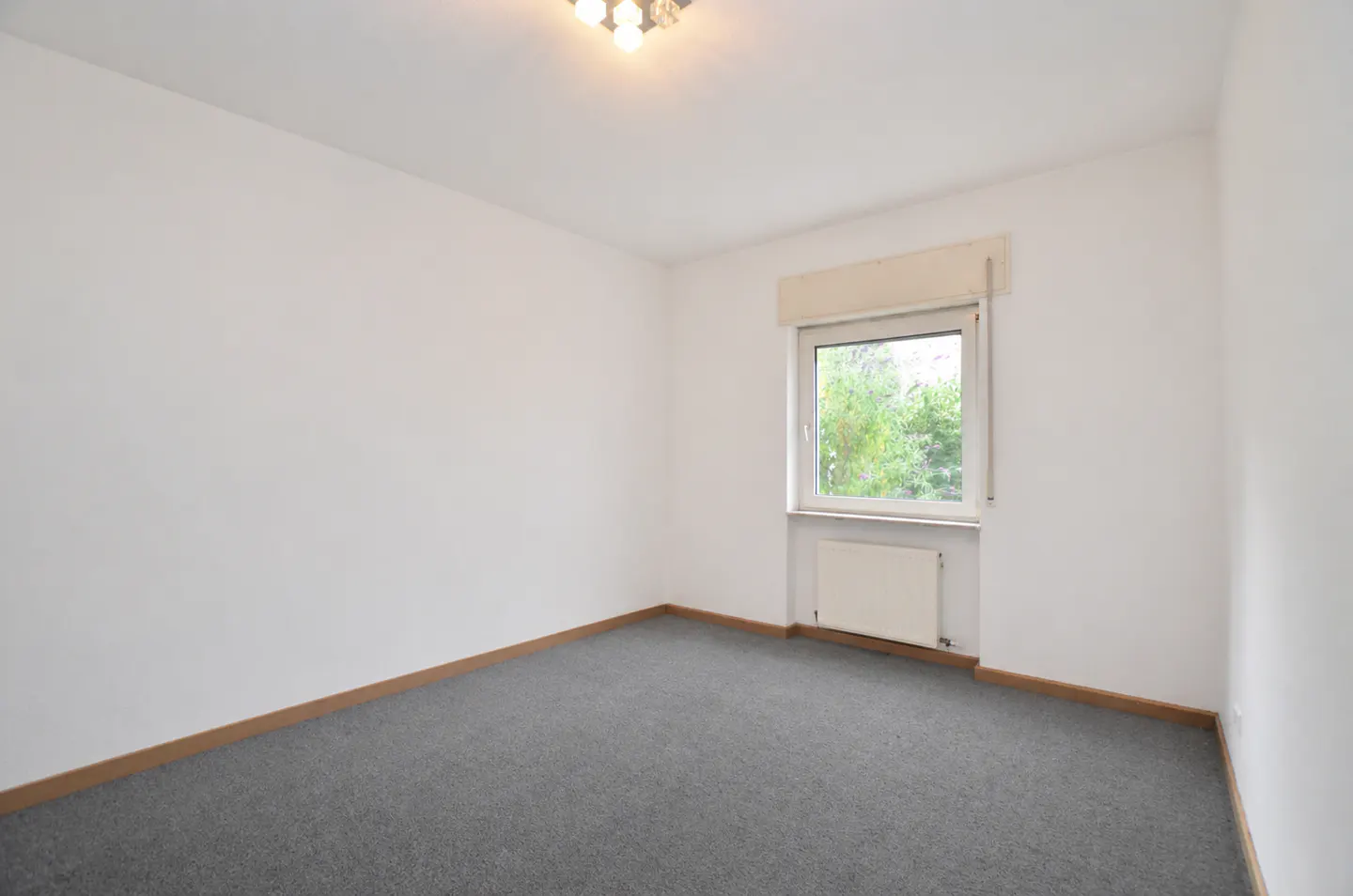 Empty room with gray carpet, white walls, and a window showing green trees. A light fixture is on the ceiling.