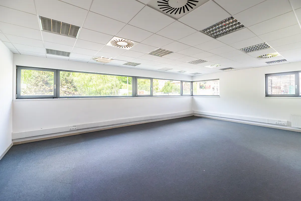 Empty office space with gray carpet, white walls, and a row of windows overlooking greenery. The ceiling has square tiles and circular vents.