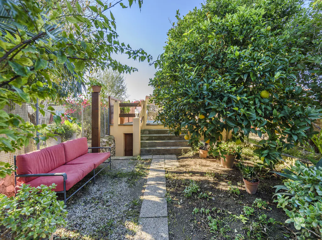 A garden with a red couch, stone path, stairs, and a lemon tree with lemons.