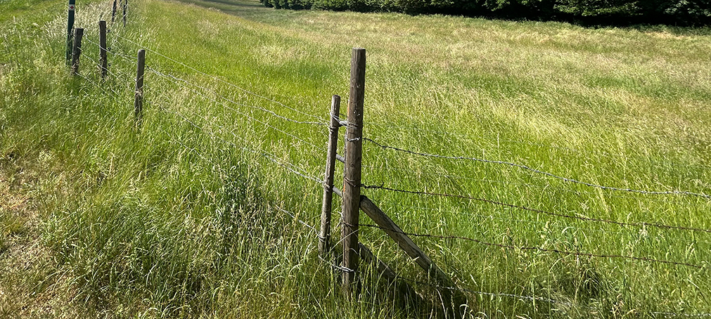 Landwirtschaftliches Grundstück in Warthausen, Birkenhard