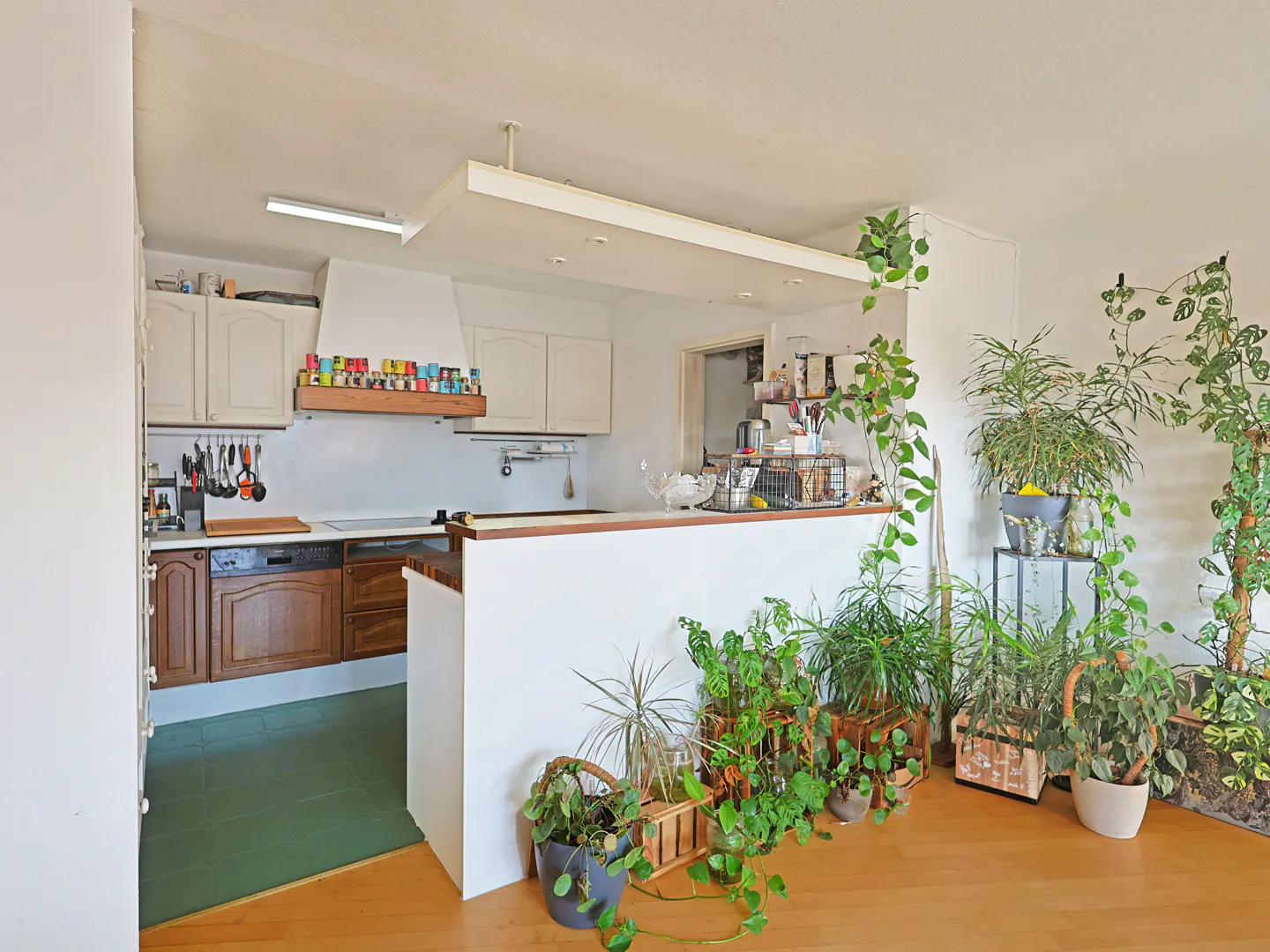 Bright kitchen with white cabinets, wood accents, and green floor. Many plants decorate the space, adding a natural touch.