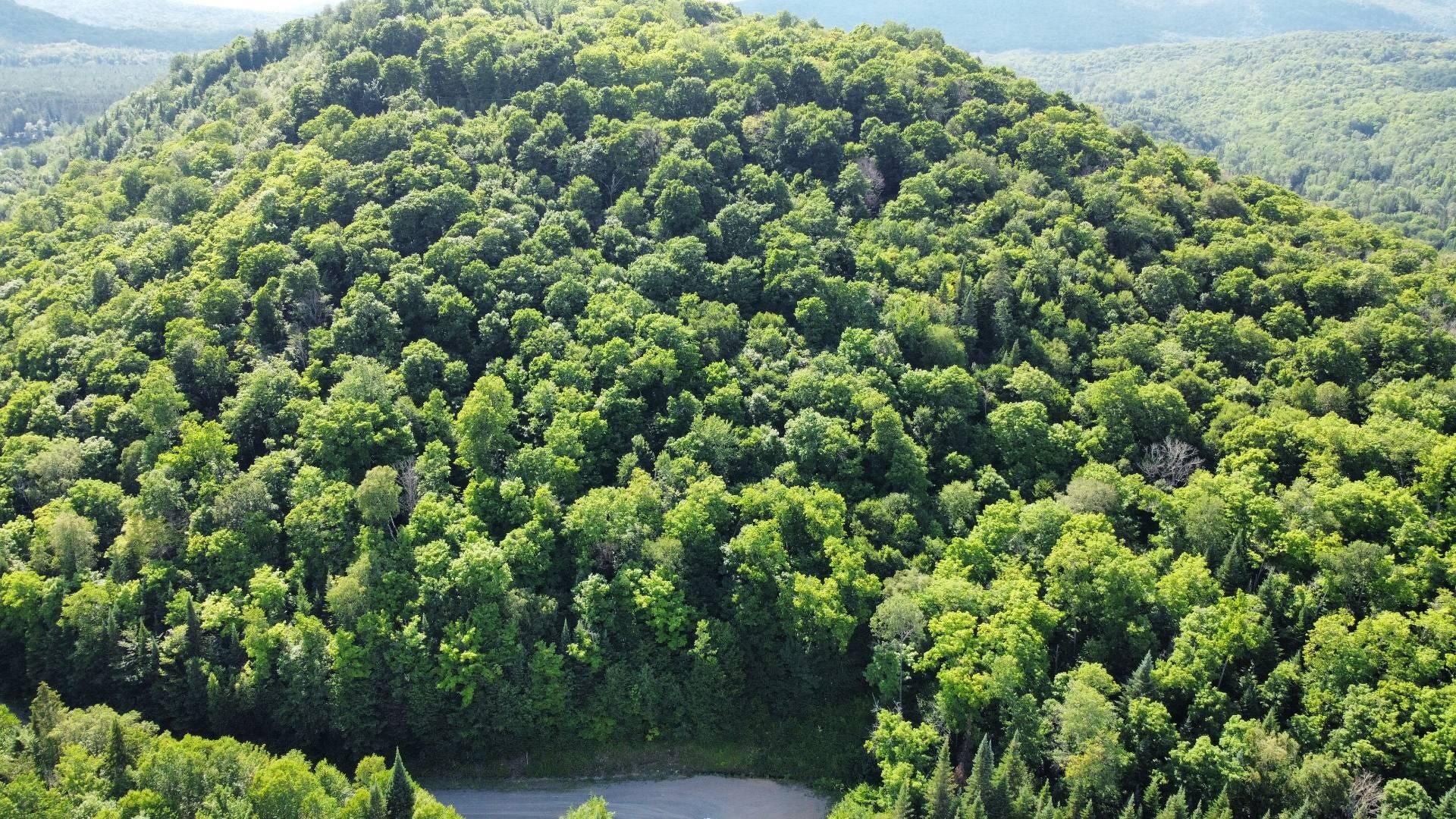 Where Mountain Views Meet Lakefront Serenity