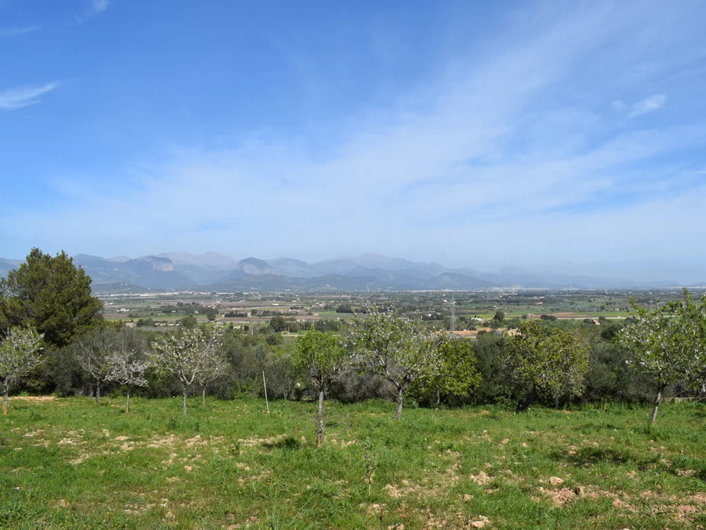 Zwei urbane Grundstücke mit schöner Aussicht in Santa Eugenia