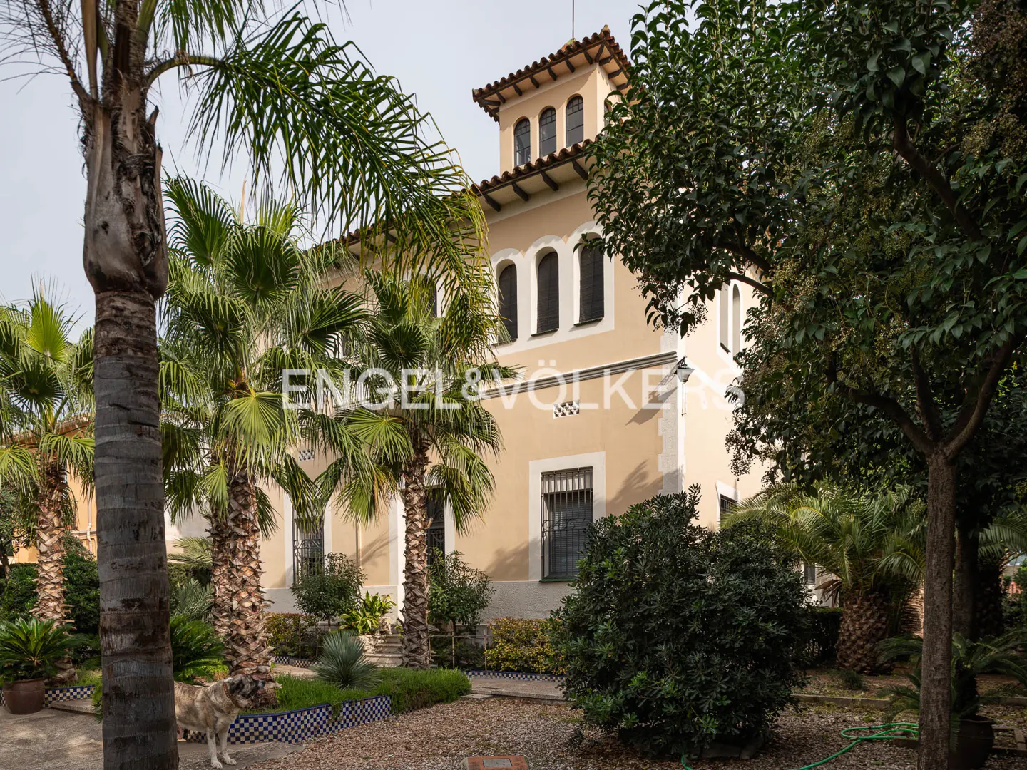 Exterior view of a tan two-story house with a tower, surrounded by palm trees and greenery. A dog stands in the foreground.