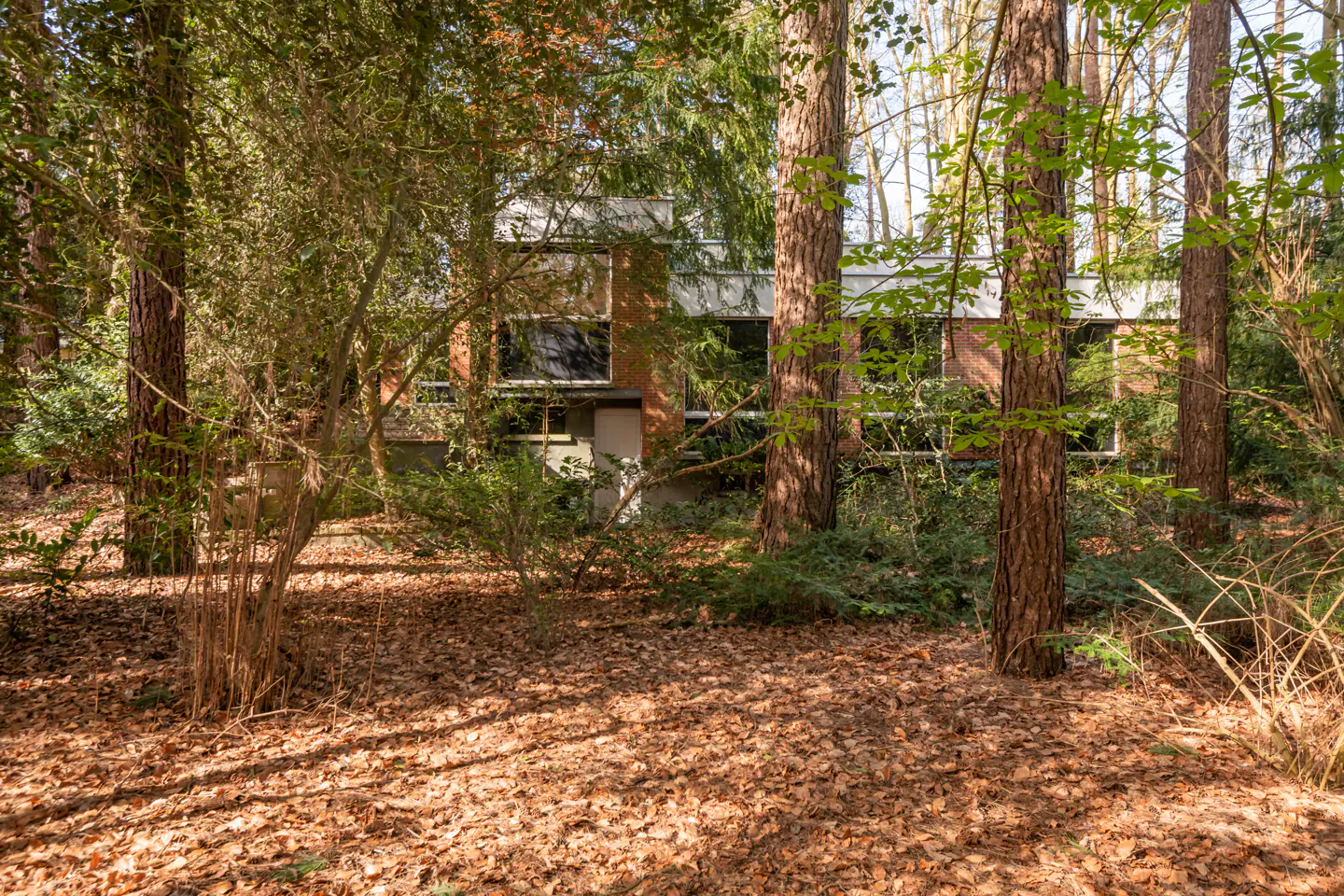 A modern brick house is nestled among tall trees in a forest, with a ground covered in brown leaves.