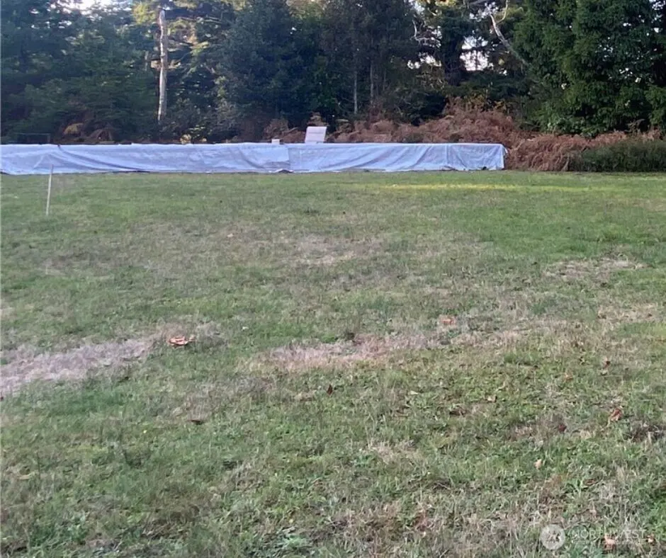 A green lawn leads to a covered pool, with trees in the background.