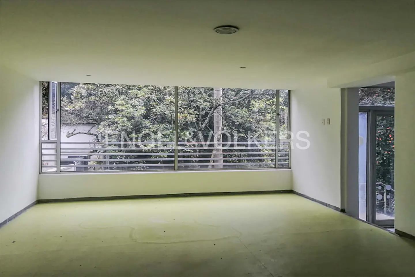 Empty room with green floor and white walls. Large window with trees visible outside.