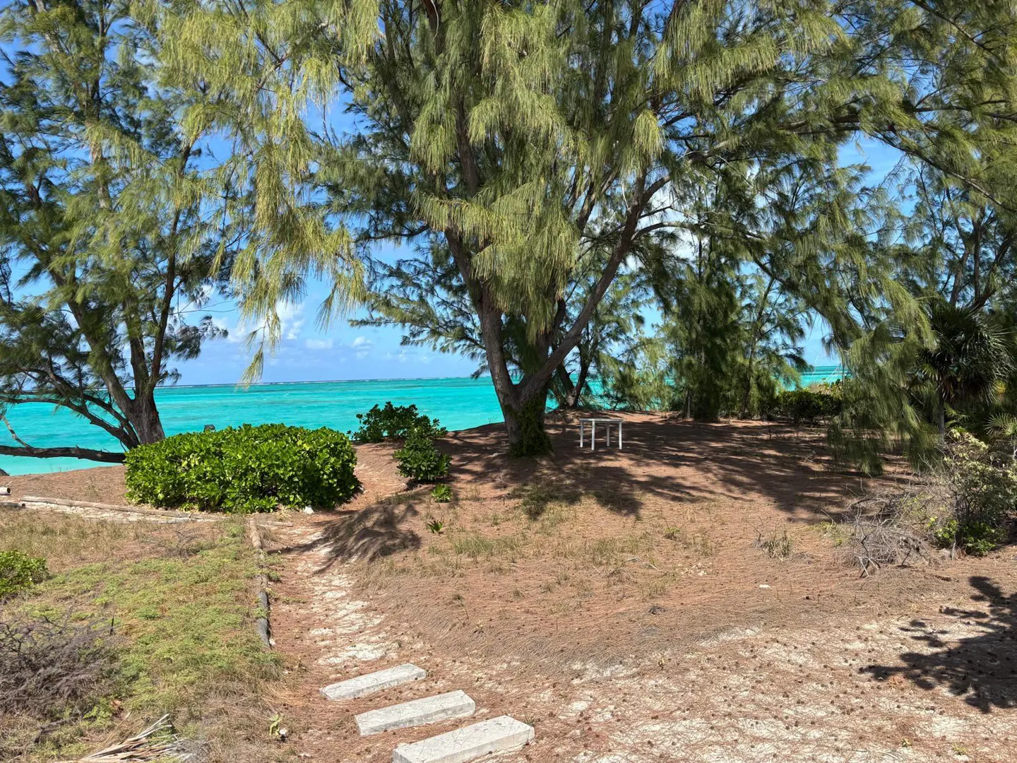 Beachfront property with a stone path leading to turquoise water, framed by green trees and a picnic table.