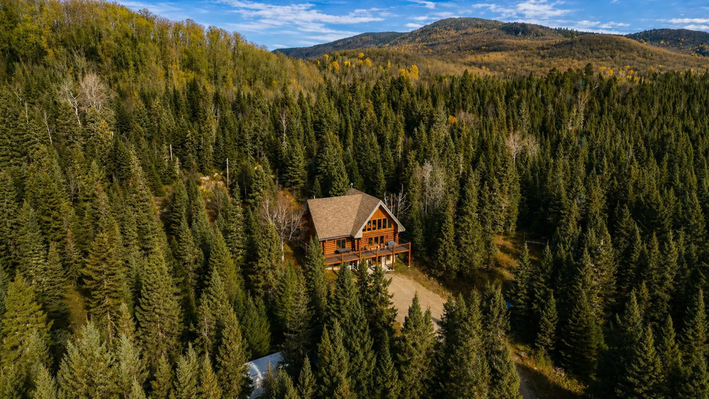 Aerial view of a brown log cabin with a deck, nestled in a dense green forest with mountains in the background.