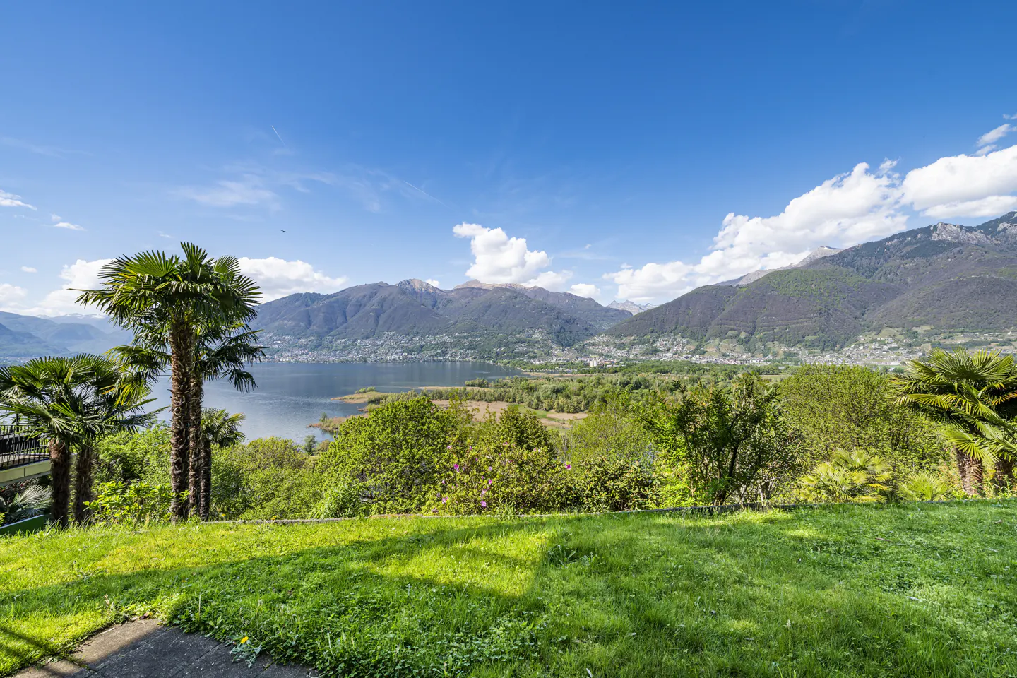 Scenic view of Lake Maggiore, Italy, with palm trees, green grass, and mountains under a blue sky with white clouds.