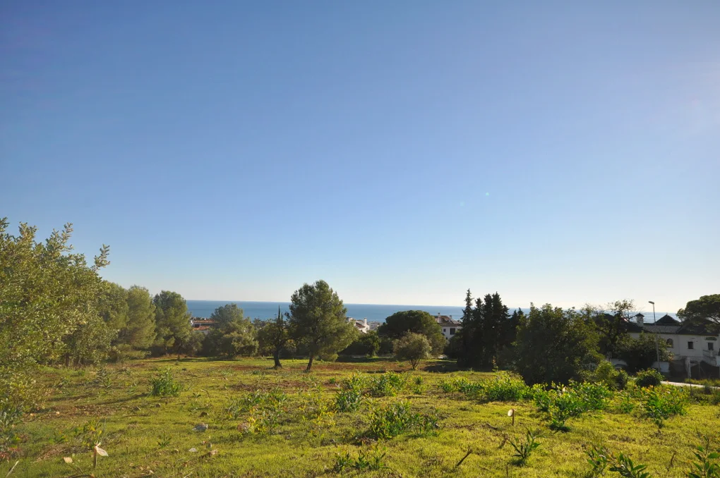 Camoján: Fantastic plots of 2.735 m2 and 2.781 m2