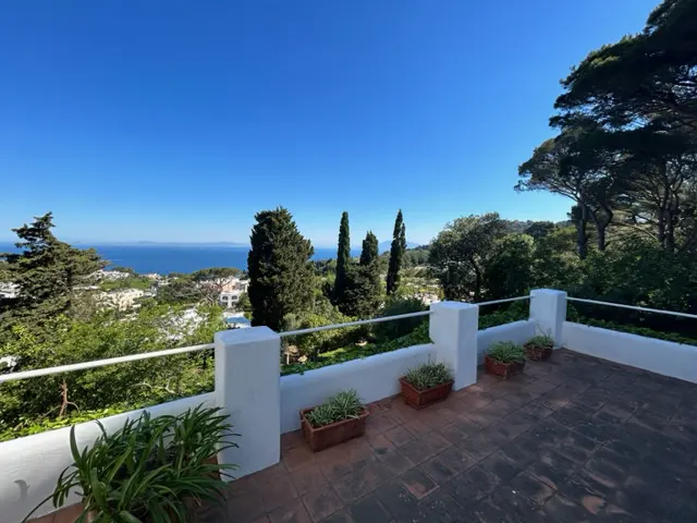 Terracotta-tiled patio with white railing overlooks lush greenery, the sea, and a clear blue sky. Potted plants line the railing.