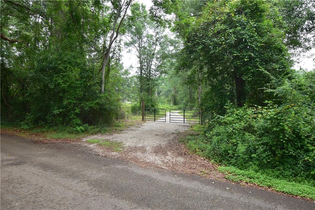 A Hidden Estate-Sized Retreat Beneath 200-Year-Old Live Oak