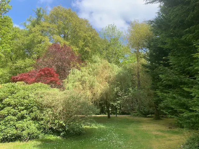 Lush green lawn with trees and shrubs in a variety of colors, including red, green, and yellow, under a blue sky with white clouds.