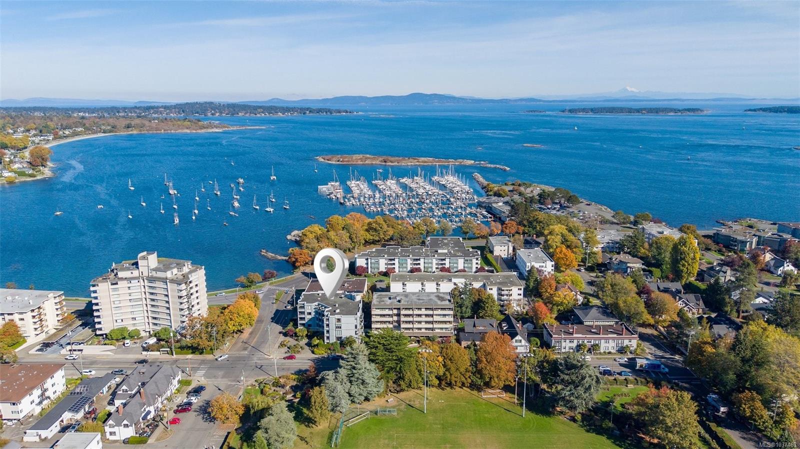 1 Bedroom Condo Steps from the Beach