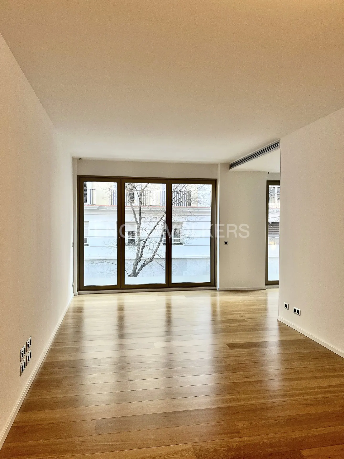 Empty room with light wood floors, white walls, and large windows. A tree is visible outside.